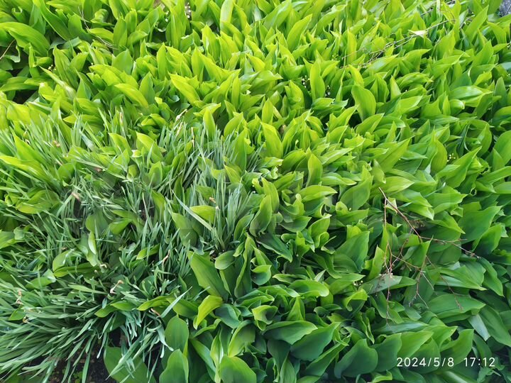 Дача 10 м² на участке 8 сот.