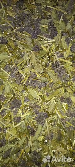 Буквица лекарственная(шалфей полевой) сухоцвет