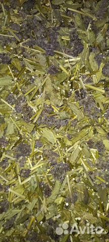 Буквица лекарственная(шалфей полевой) сухоцвет