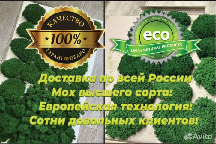 Стабилизированный мох от производителя