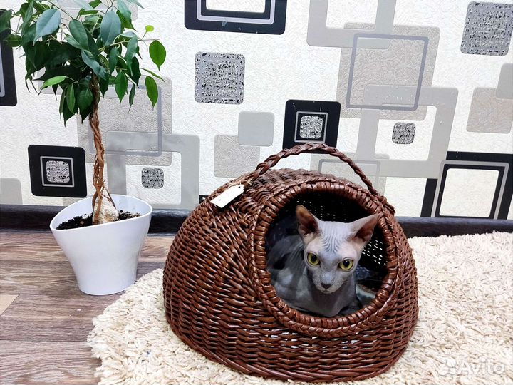 Лежанка для животных