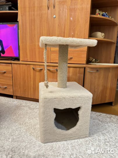 Когтеточка