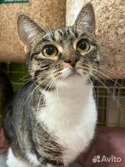 Спасите Герду