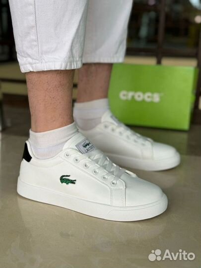 Кроссовки мужские летние lacoste