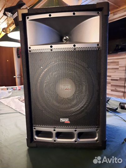 Концертные колонки акустика Magnat Pro PA 112 hifi