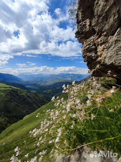 Гид-водитель. Индивидуальные туристические поездки