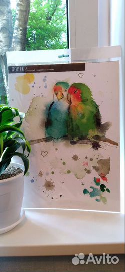 Постеры разные