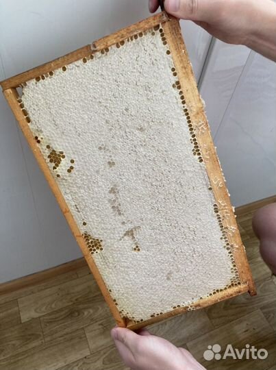 Мед из Нальчика