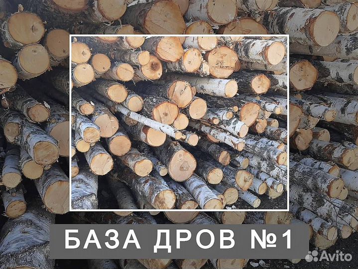 Дрова сухие