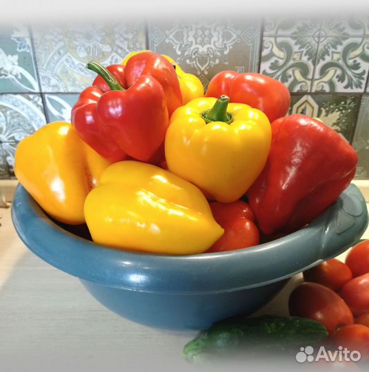 Семена томатов и перцев. Скоро закончится