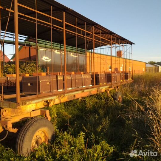 Продается пасека