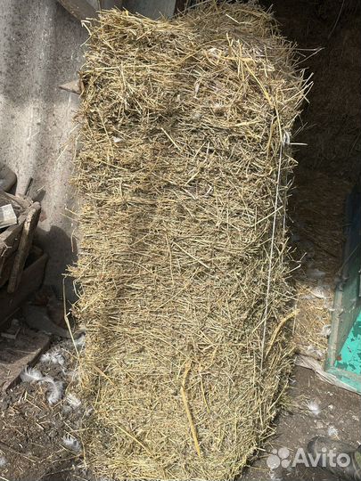 Сено люцерны в тюках