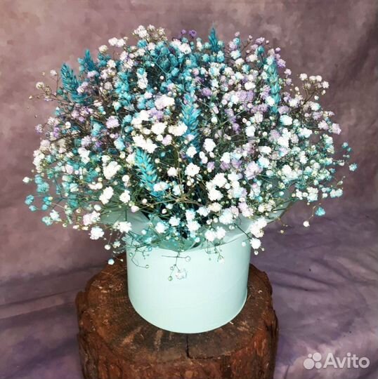 Гипсофилы с открыткой