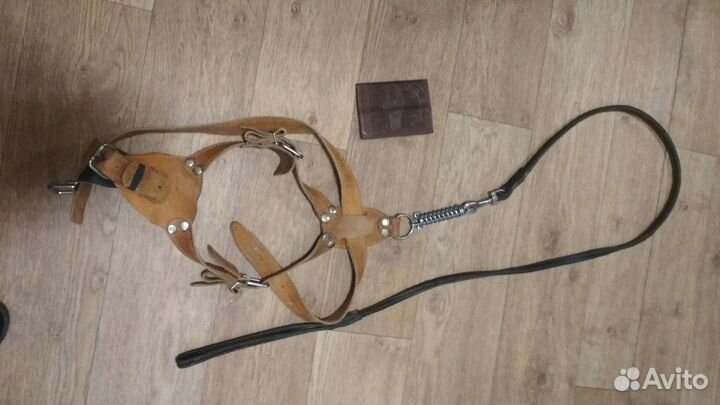 Шлейка для собаки