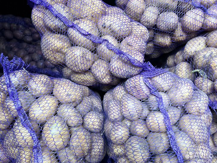 Продам картофель