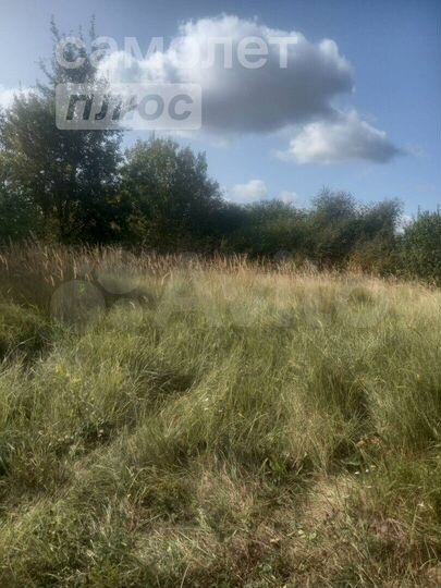 Участок 10 сот. (СНТ, ДНП)