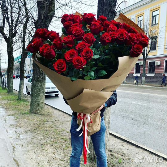 Розы метровые Эквадор