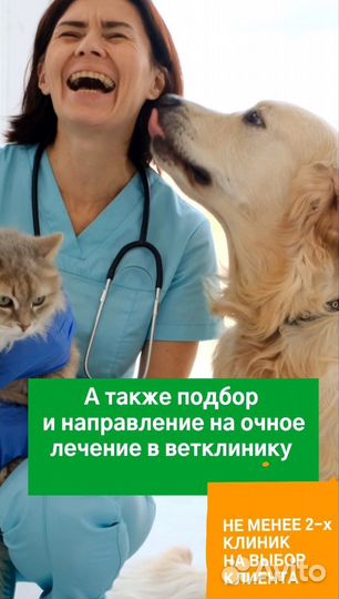 Телеветеринария