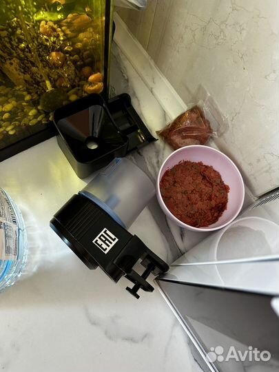 Аквариум с рыбками