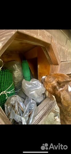 Будка для собаки утепленная бу