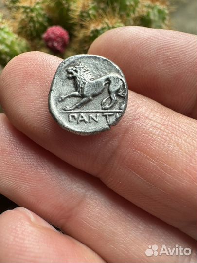 Монета Боспора