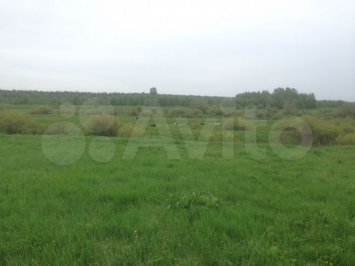 Участок 15 сот. (ИЖС)