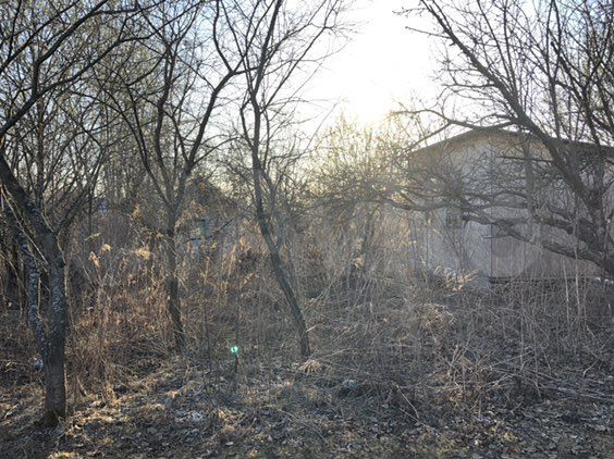 Дача 20 м² на участке 4 сот.