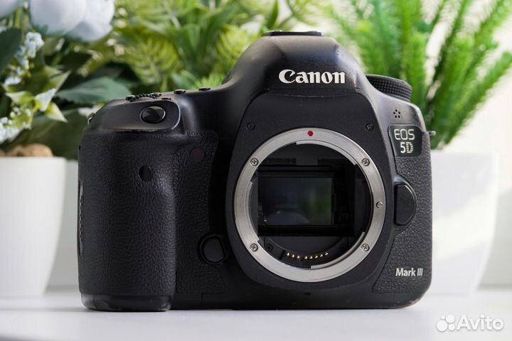 Canon 5D Mark III