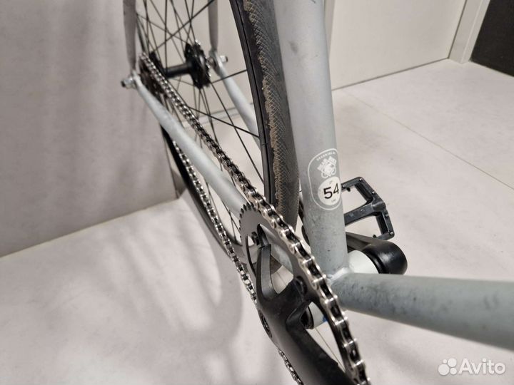 Bear bike Saint Petersburg 2021