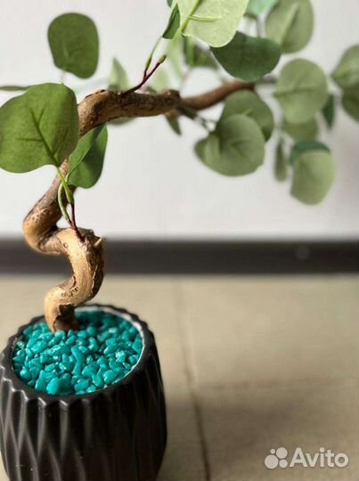 Эвкалипт искусственный