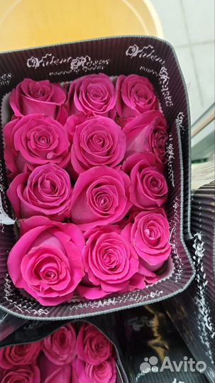 Оптoвыe постaвки цветов из Эквадора,Гoлландии