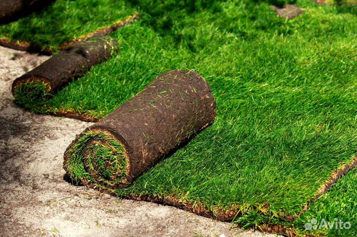 Укладка рулонных газонов под ключ