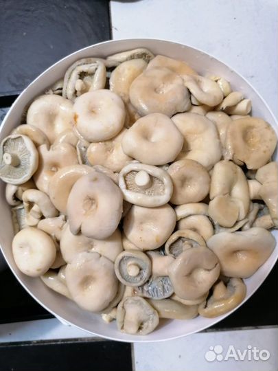 Грибы соленые:грузди,белые грибы боровики,рыжики