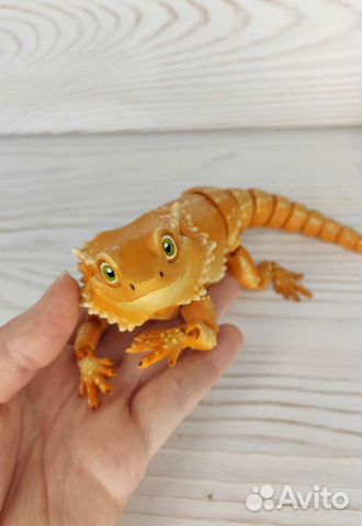 Ящерица шарнирная