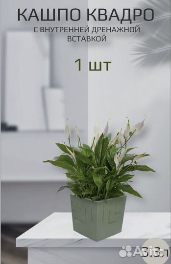 Кашпо квадро для цветов