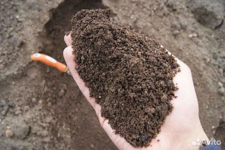 Чернозем, грунт, земля с доставкой
