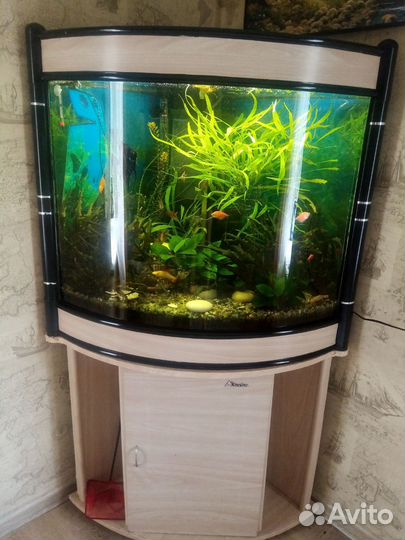 Аквариум угловой с тумбой
