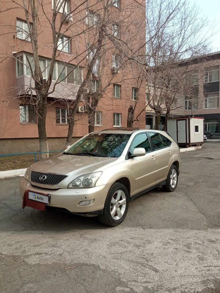 Lexus RX: фото владельца