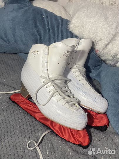 Коньки фигурные edea overture