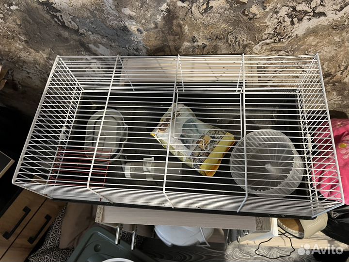 Отдам клетку бесплатно