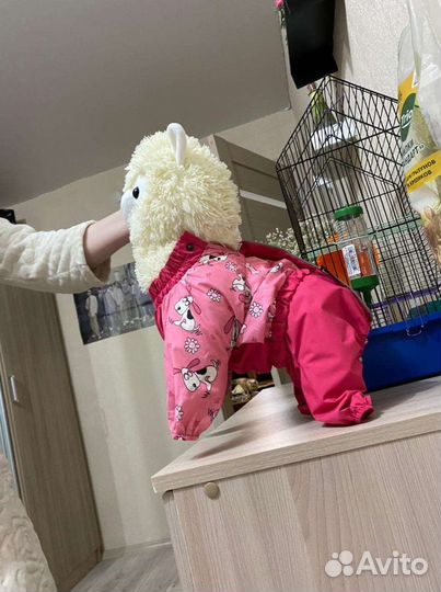 Комбинезон для маленькой собаки