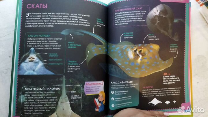 Энциклопедия младшего школьника