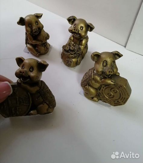 Монетная хрюша