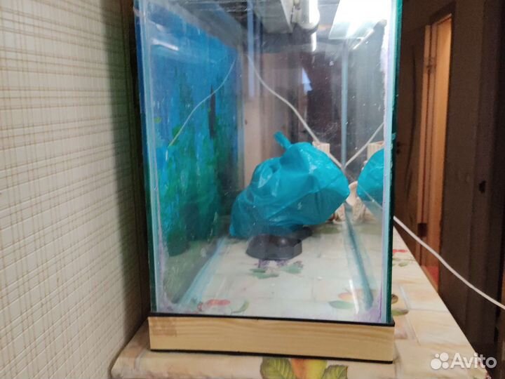 Аквариум