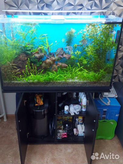Аквариум