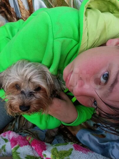 Участок 8 сот. (ИЖС)