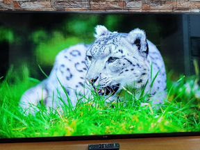 Телевизор wi-fi, smart tv 55" LG