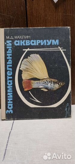 Занимательный аквариум