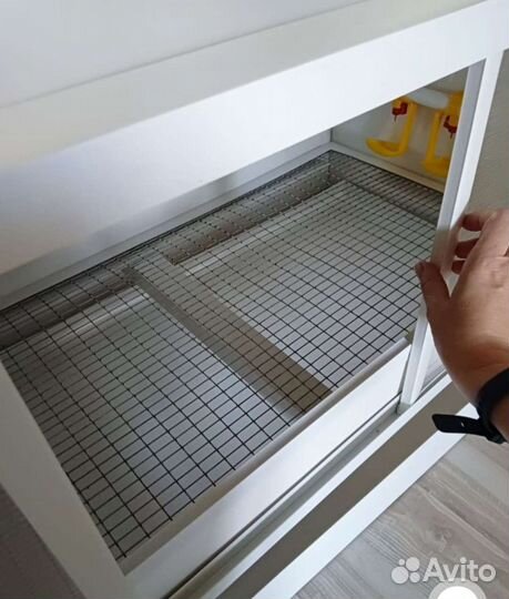 Брудер пластиковый для цыплят, утят, перепелят