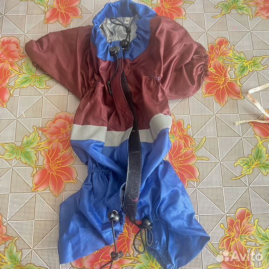 Одежда для собак, ветровка